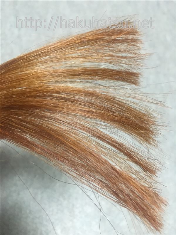 ブローネシャイニングヘアカラークリーム 1CP シャンパンブラウンを白髪に染めた髪色