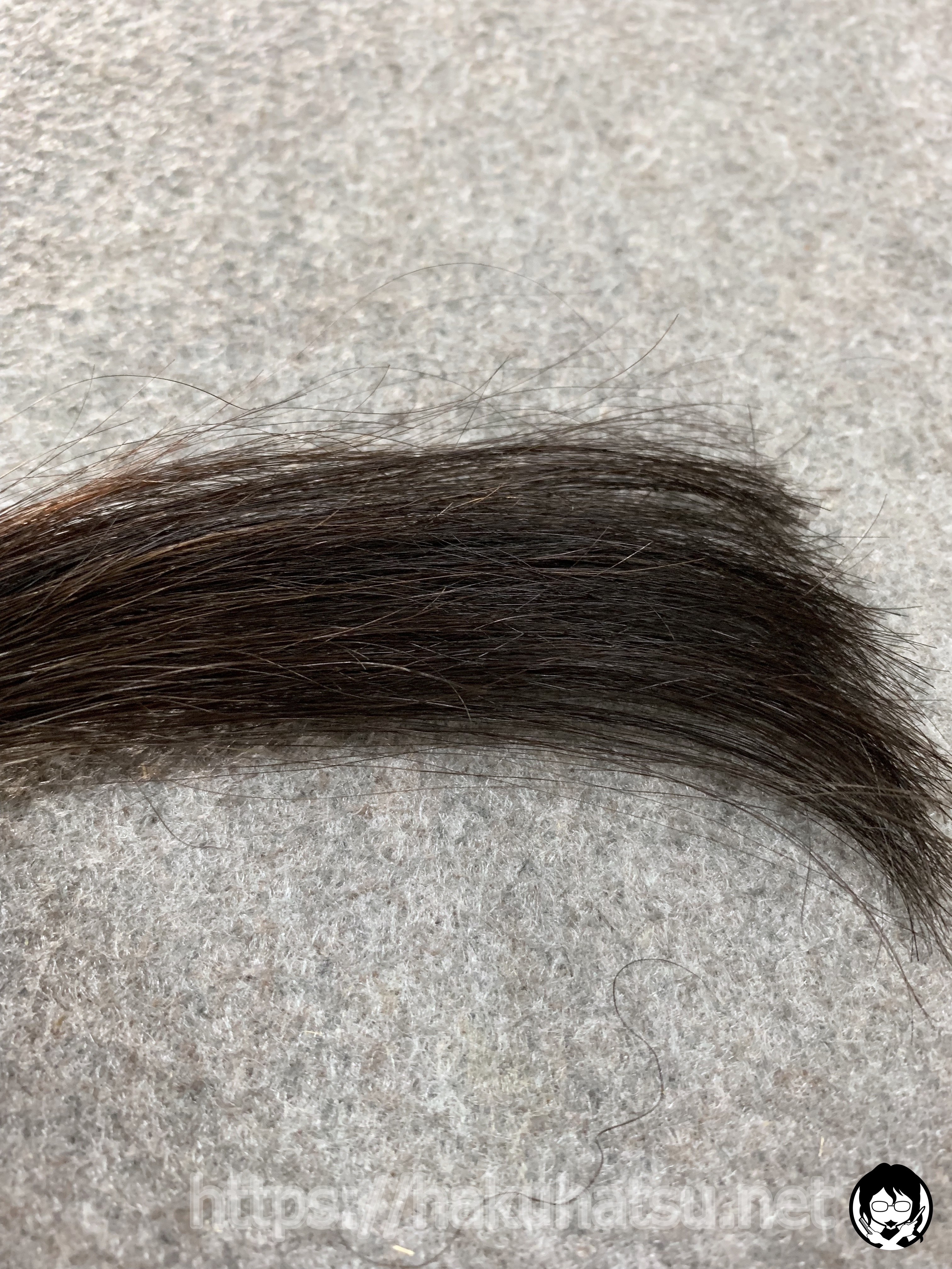 スティーブンノル カラークチュール クリームヘアカラー 8BE ピュアベージュブラウンを黒髪+白髪10％に染めた髪色