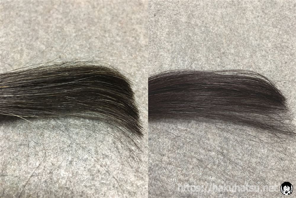 ブローネ ルミエスト ヘアカラー 2P ボルドーピンクを黒髪白髪１０％に染めた色の比較