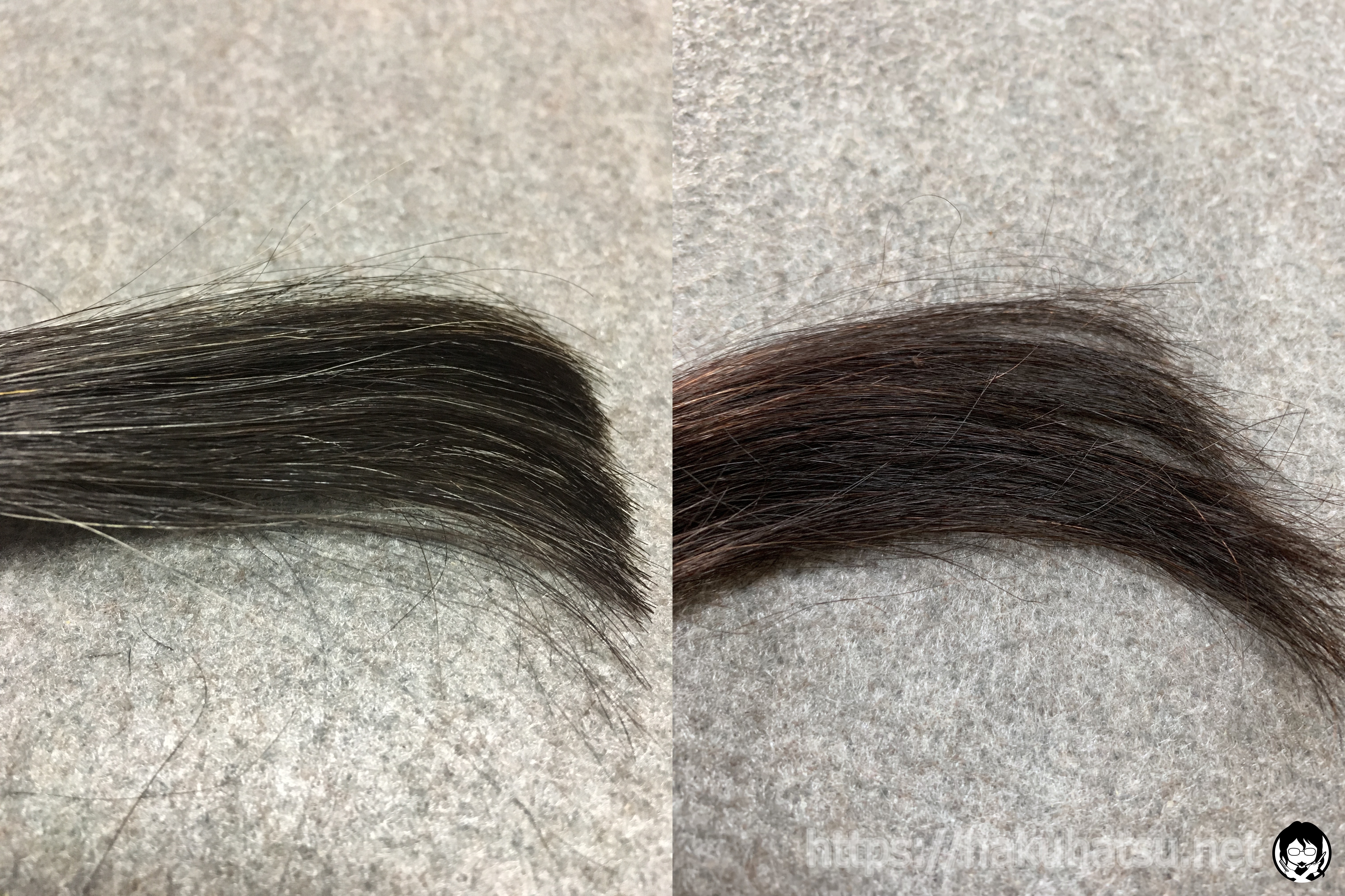スティーブンノル カラークチュール クリームヘアカラー 6M マロンブラウンと黒髪+白髪10％の色の比較