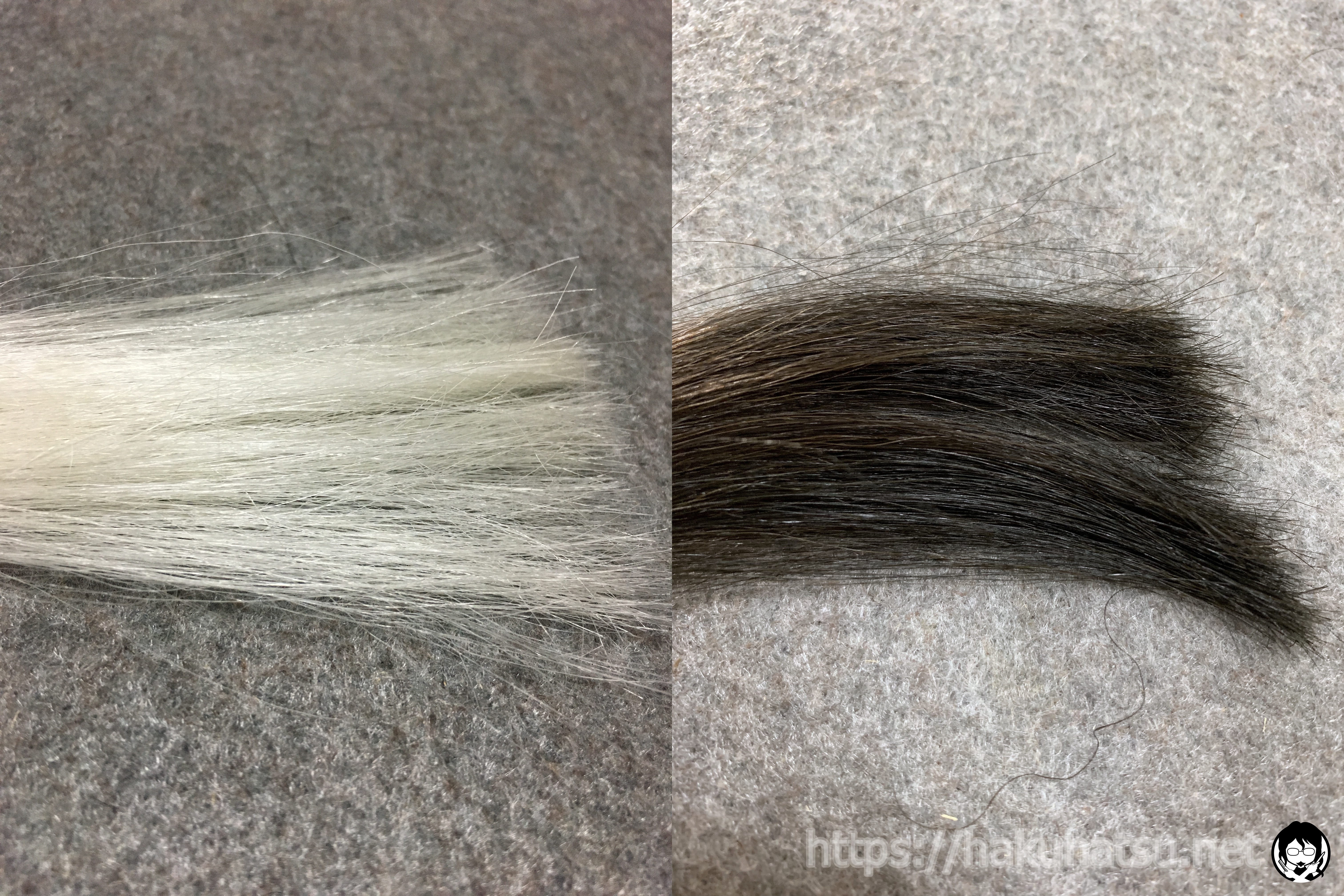 スティーブンノル カラークチュール クリームヘアカラー 7A ライトアイスブラウンと白髪の色の比較